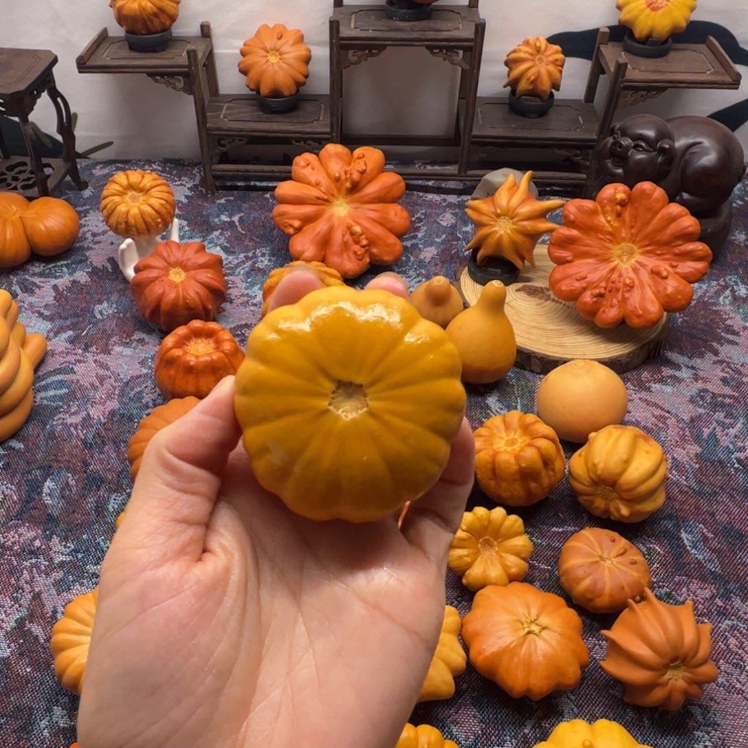 墨西哥葫芦小黄饼