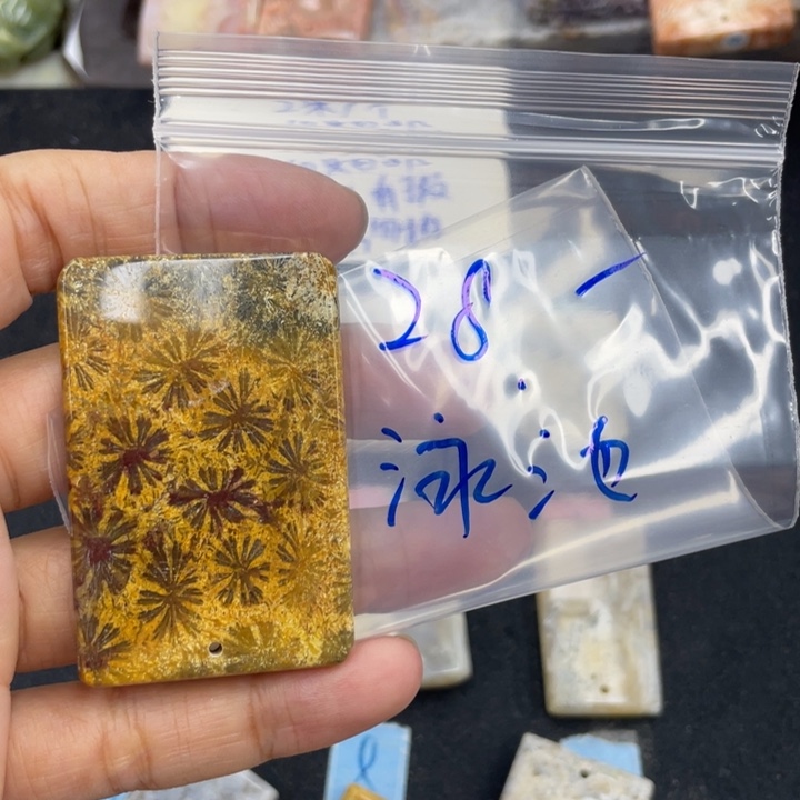 泳****颈饰合金硅化珊瑚（珊瑚玉）
