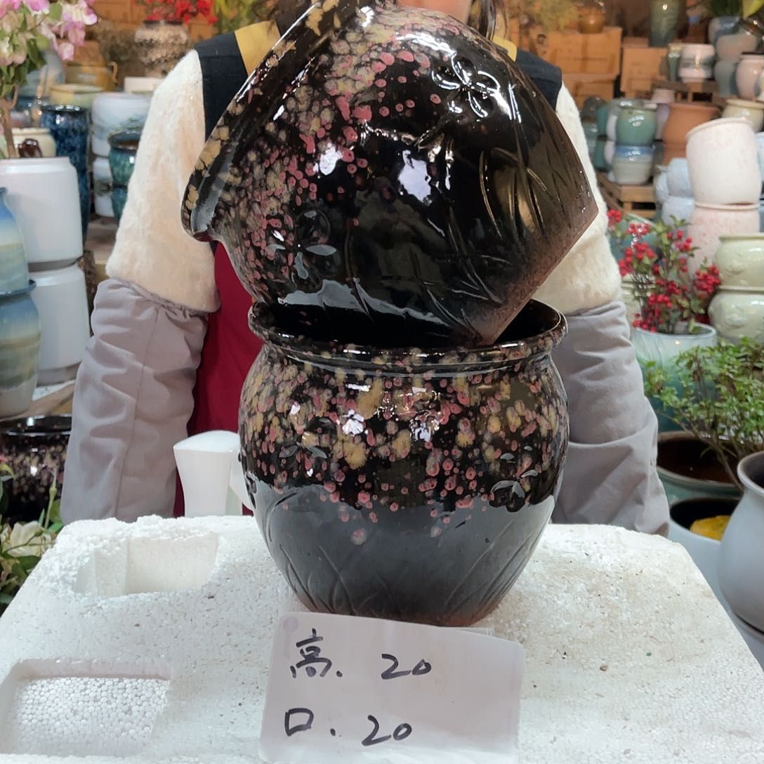 红陶高度20口径20