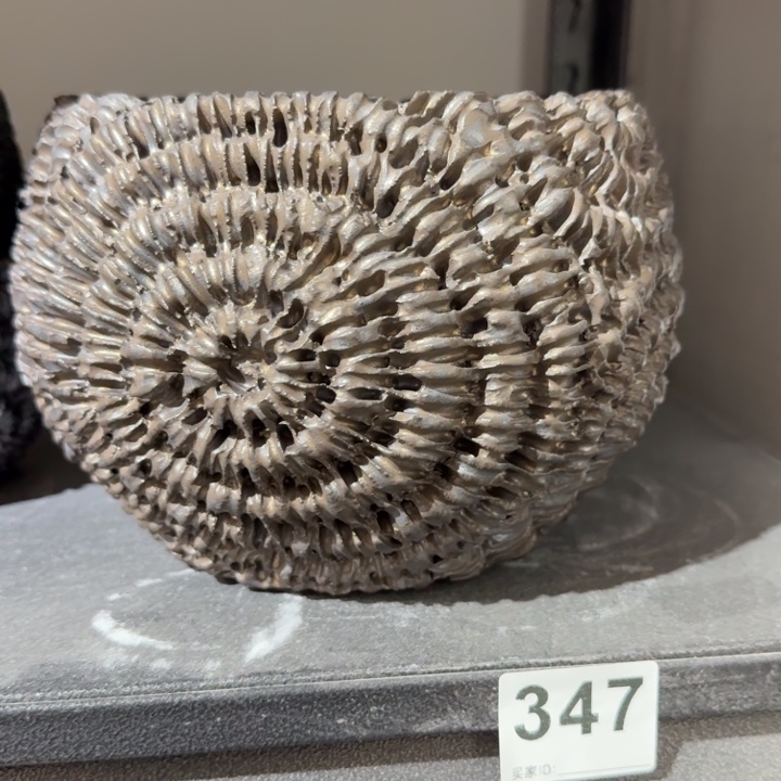 亚金内口14.5高14太阳花