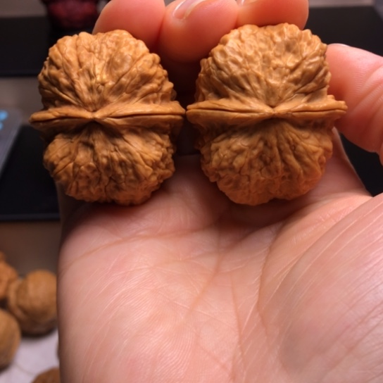 文玩核桃把件鬼脸铁蝴蝶1