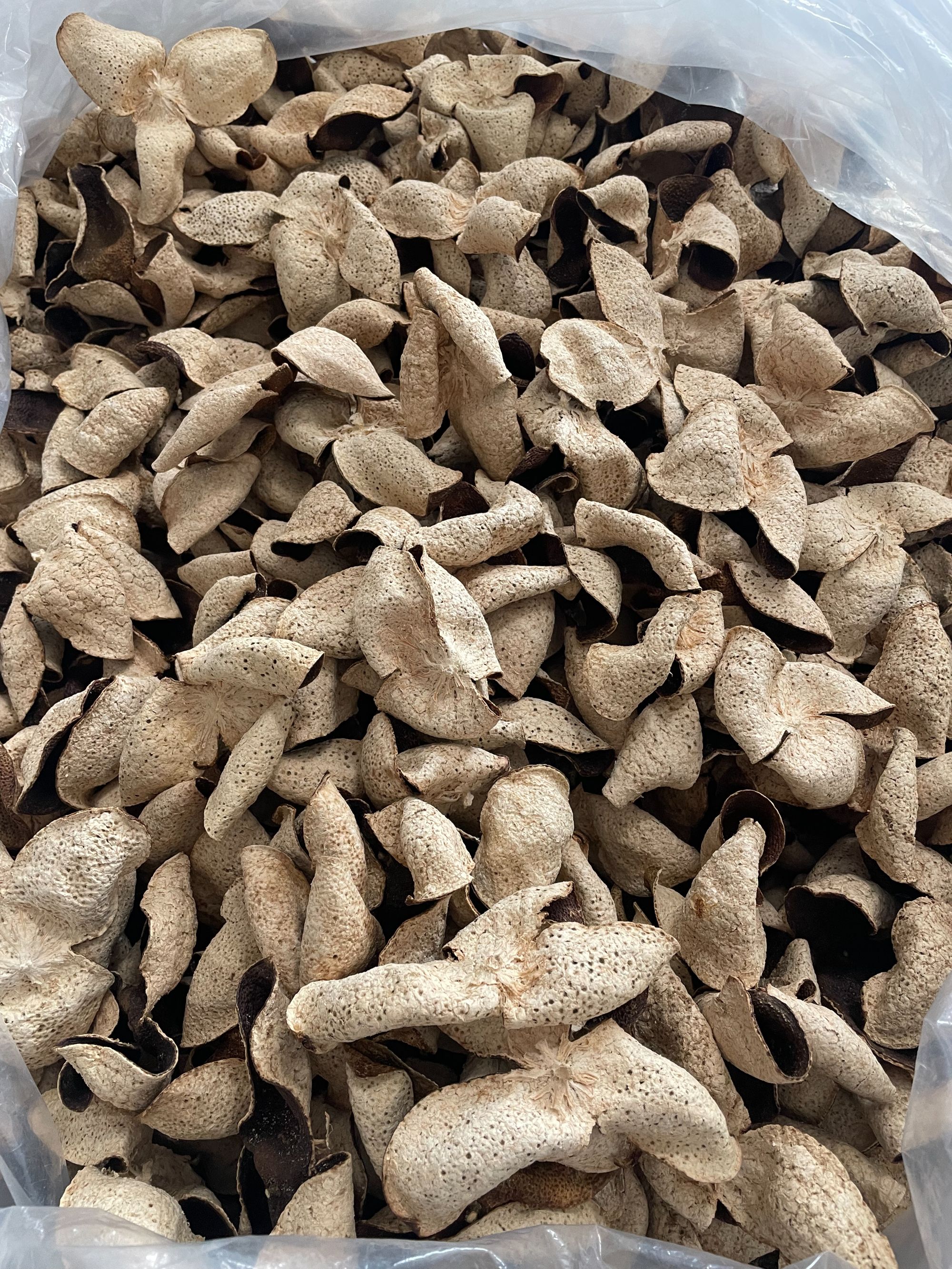 【2017自家深吕合集】深吕陈皮