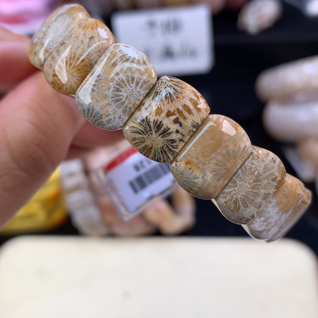 硅化珊瑚（珊瑚玉）未镶嵌吊坠(赠链)（29号）五折手排