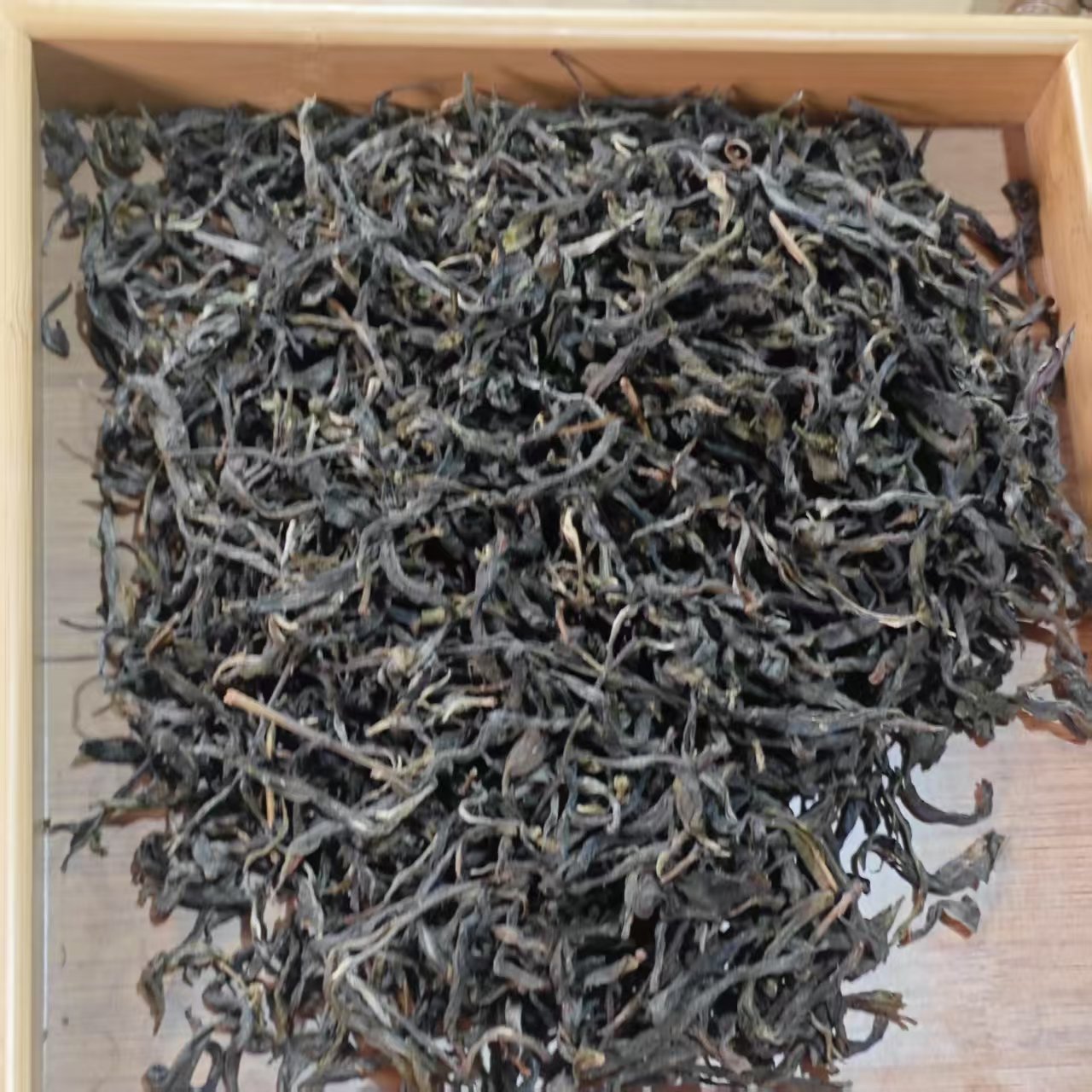 周周好茶甄选2024年甲山古树头春普洱生散茶2月21日（20号茶农）