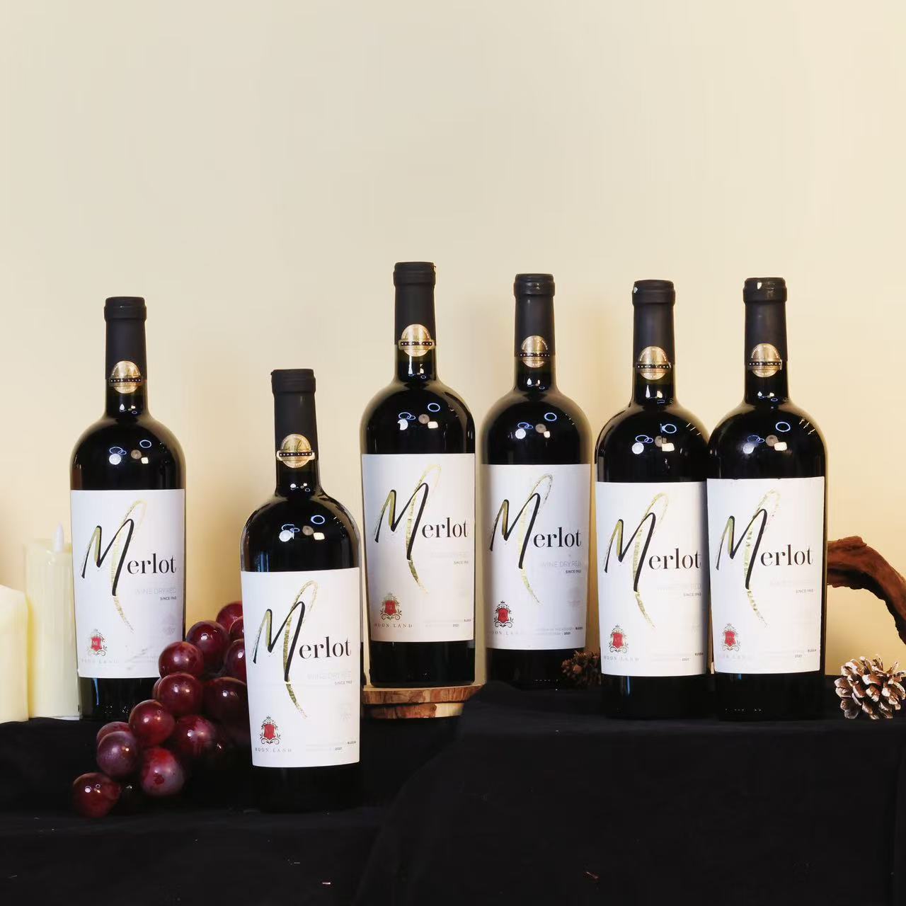 【 俄罗斯进口】木莱特梅洛干红葡萄酒13.5度750ml*6