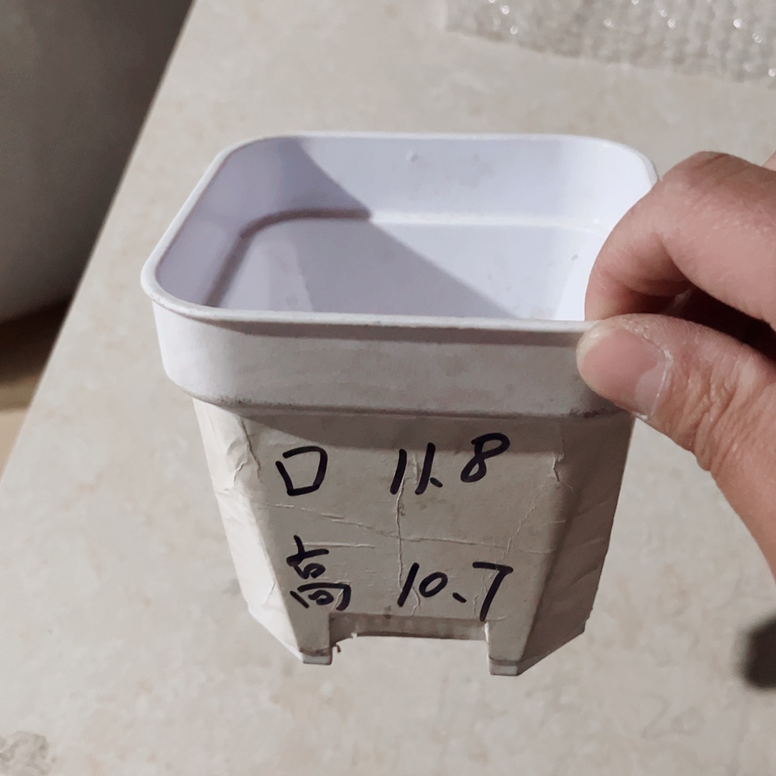 塑料加厚矮胖12方白色盆10个无托