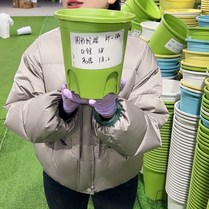 正品圆控口18高18果绿8只无托