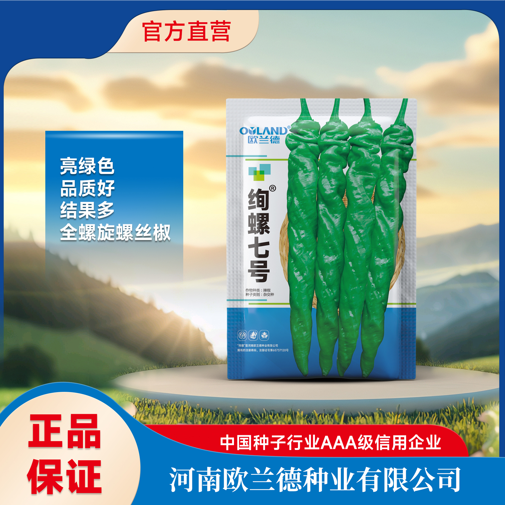 【绚螺七号】果长24-30厘米高品质亮绿色全螺旋螺丝椒种子辣味浓