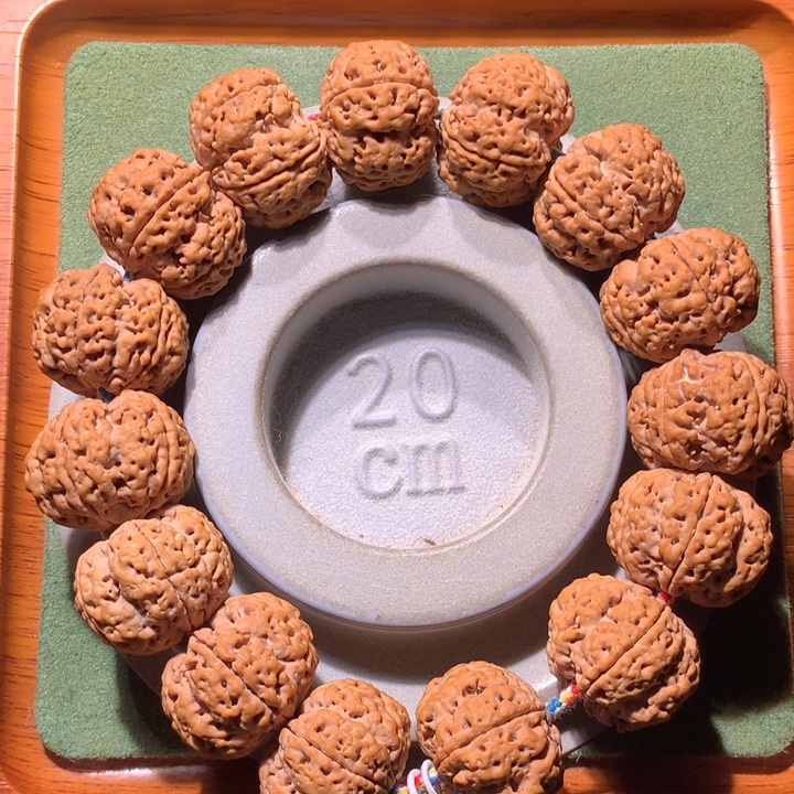 手串金刚菩提23+琅琊梅花