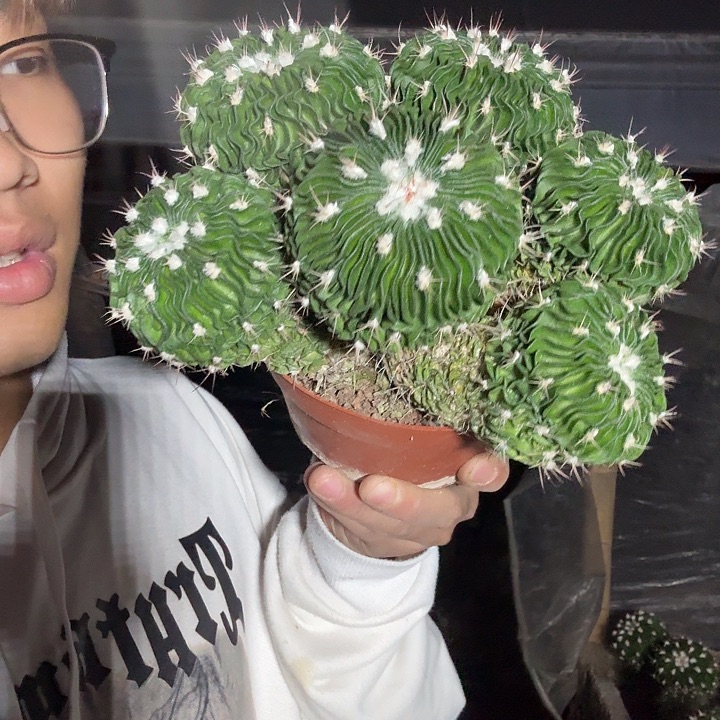 小***布无花朵哈哈姐姐家哈哈