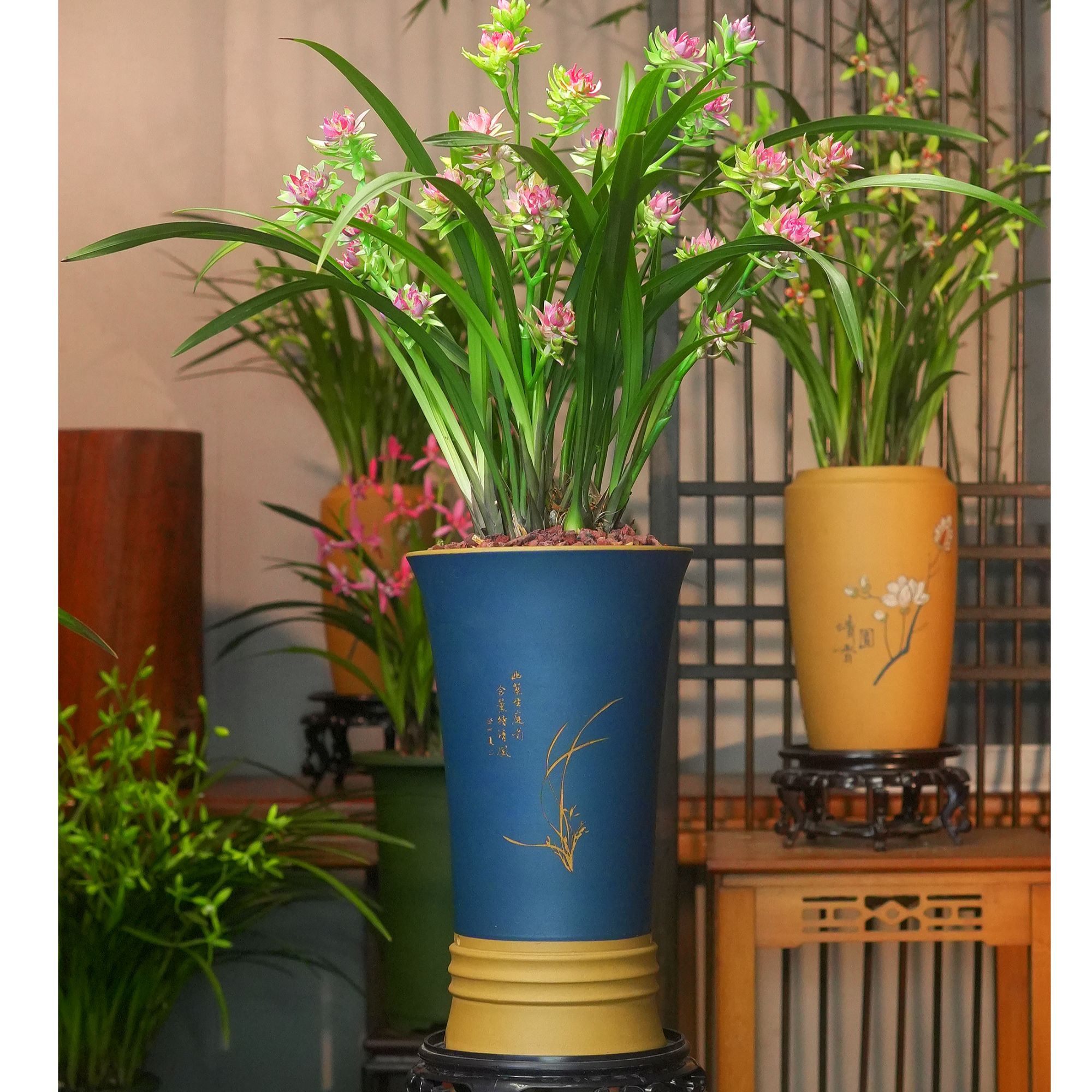 建兰铭品带高端紫砂泥花盆 幽香兰花 室内好养易活