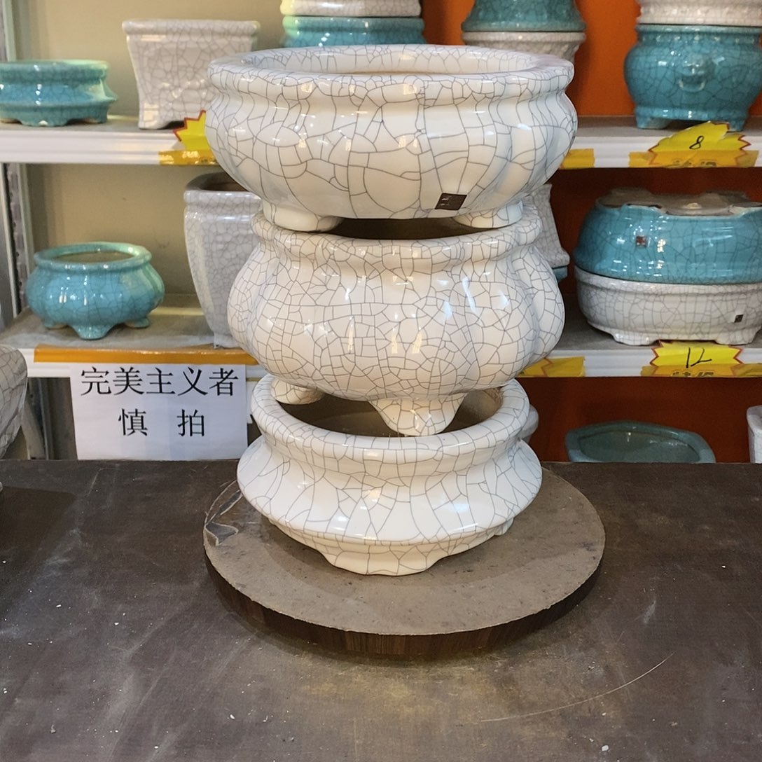 煮*花盆里的小猫咪