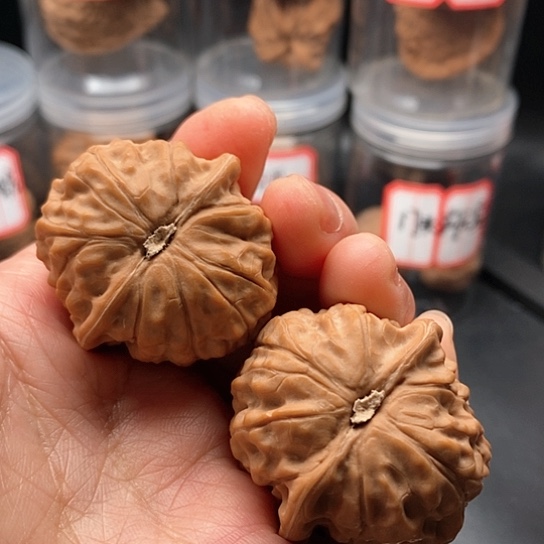 文玩核桃把件黄松峪元宝