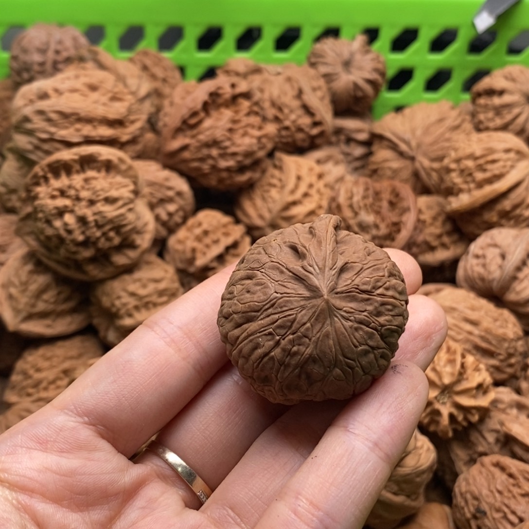 秦***岭文玩核桃把件定制商品不退不换