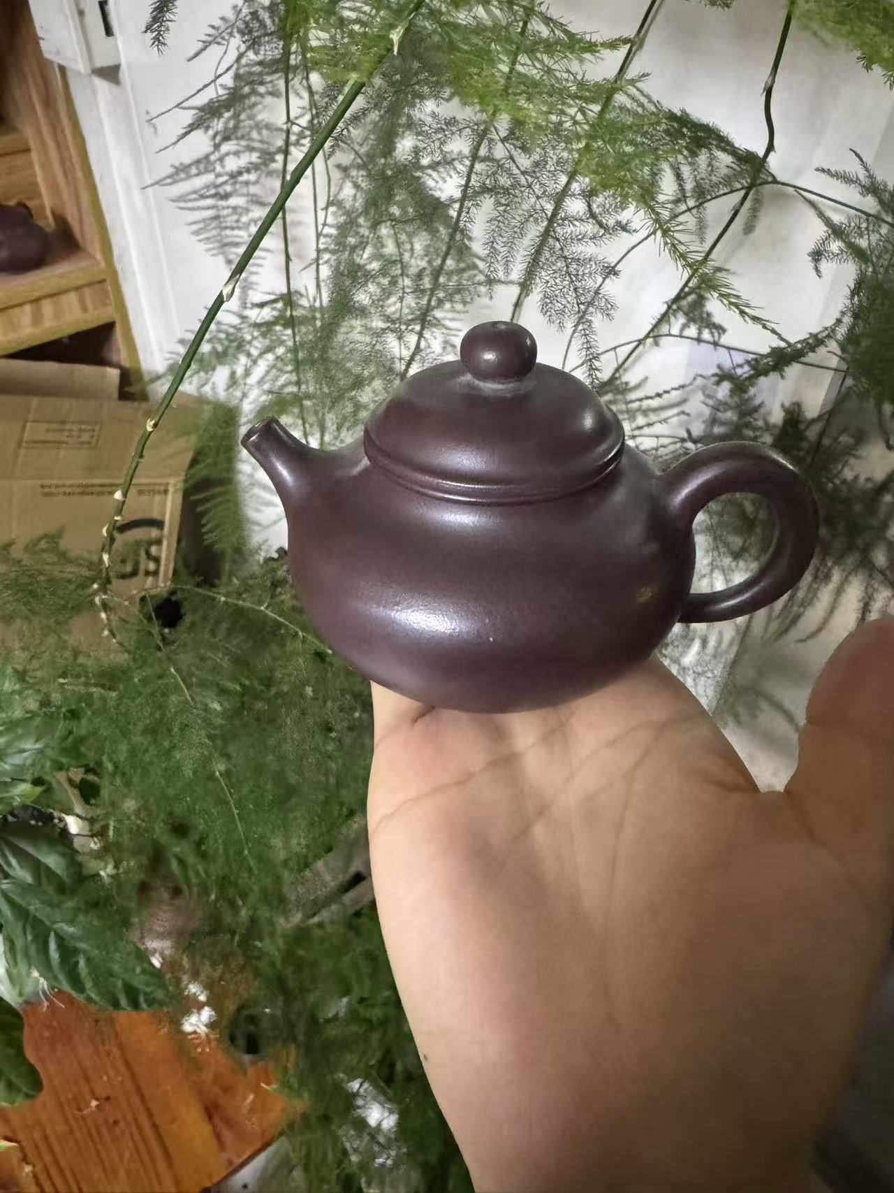 宜兴正宗紫砂紫泥泥料容天壶茶壶莲子壶茶具紫砂壶约200cc