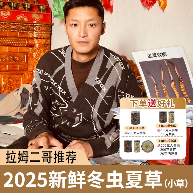 正宗2025西藏山南新鲜冬虫夏草头期干刷特大草
