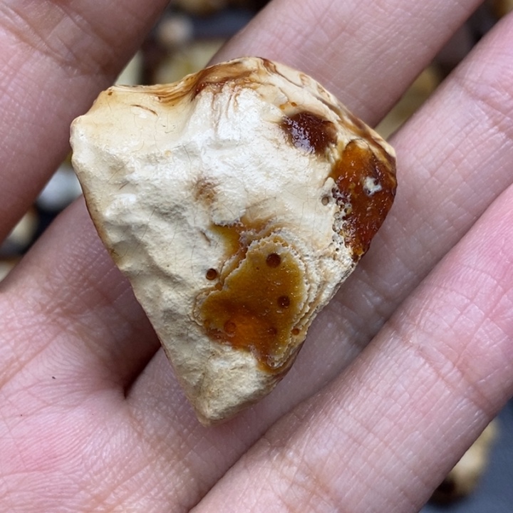 定制琥珀未镶嵌定制琥珀