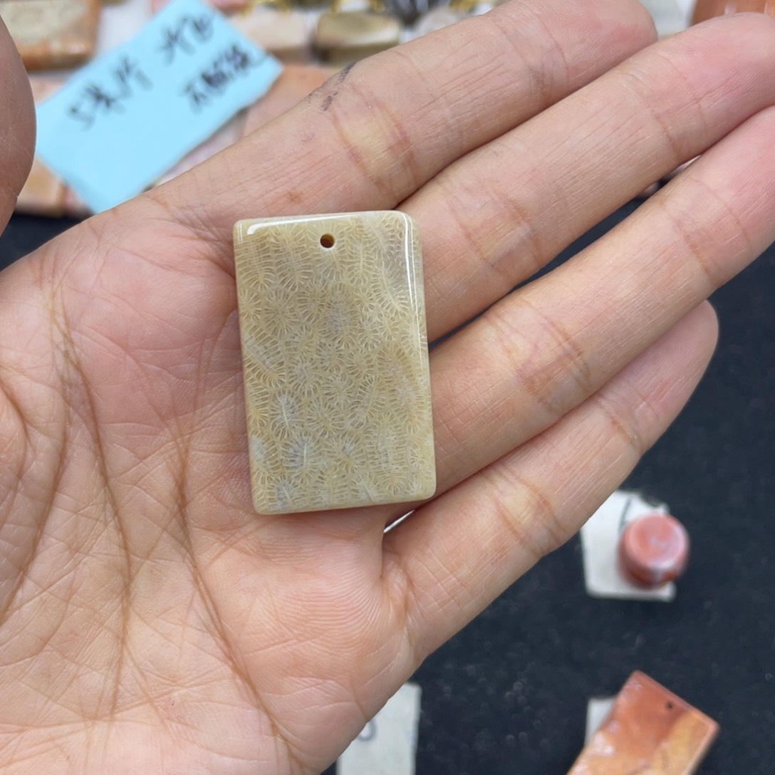 硅化珊瑚（珊瑚玉）颈饰合金胖*梅