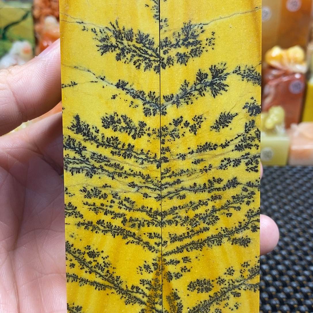 江西水草0000000000