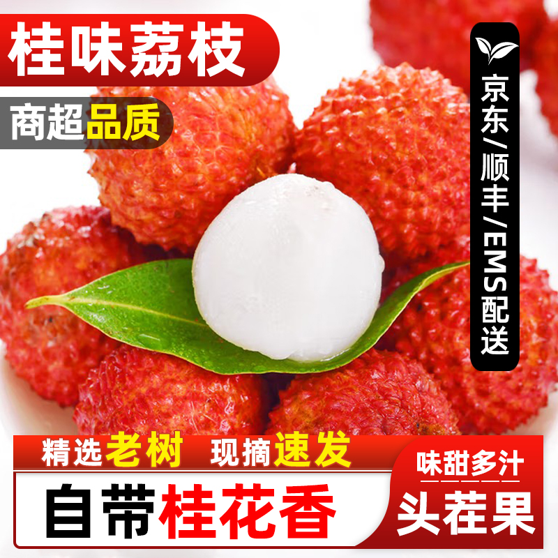 【顺丰/京东/EMS冷链】广西灵山正宗桂味荔枝新鲜现摘老树