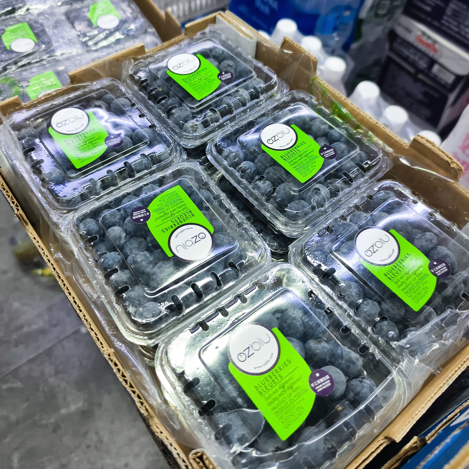 秘鲁蓝莓 发一箱 12盒装