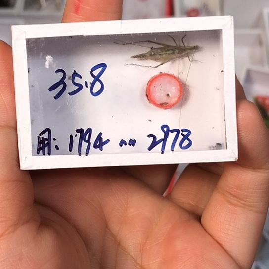 用***8333333333333333333333