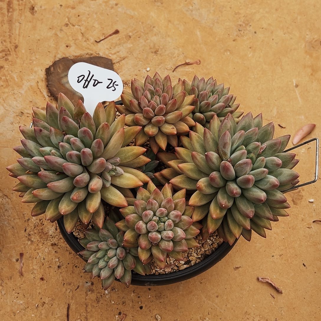 0610-25绝绝子。。。