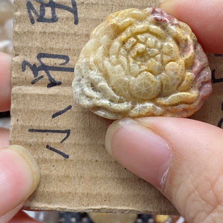 硅化珊瑚（珊瑚玉）颈饰未镶嵌