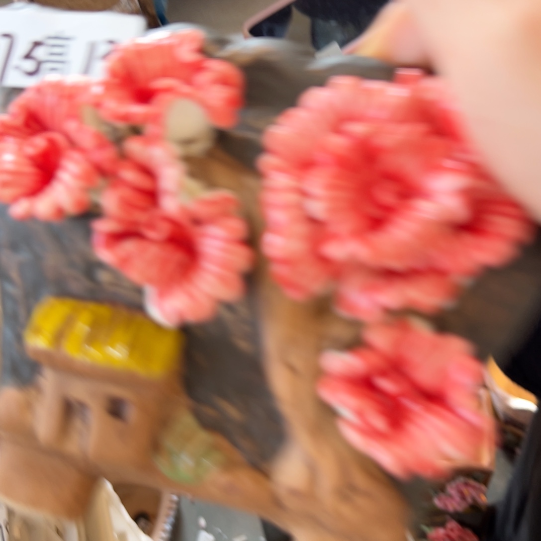 多肉花盆，满20发货，爱退款拉黑