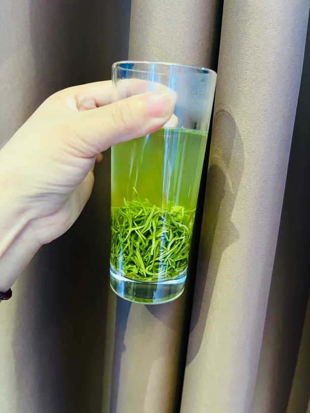 2025保康茗茶明前毛尖茶店垭茶原产地纯手工采摘茶