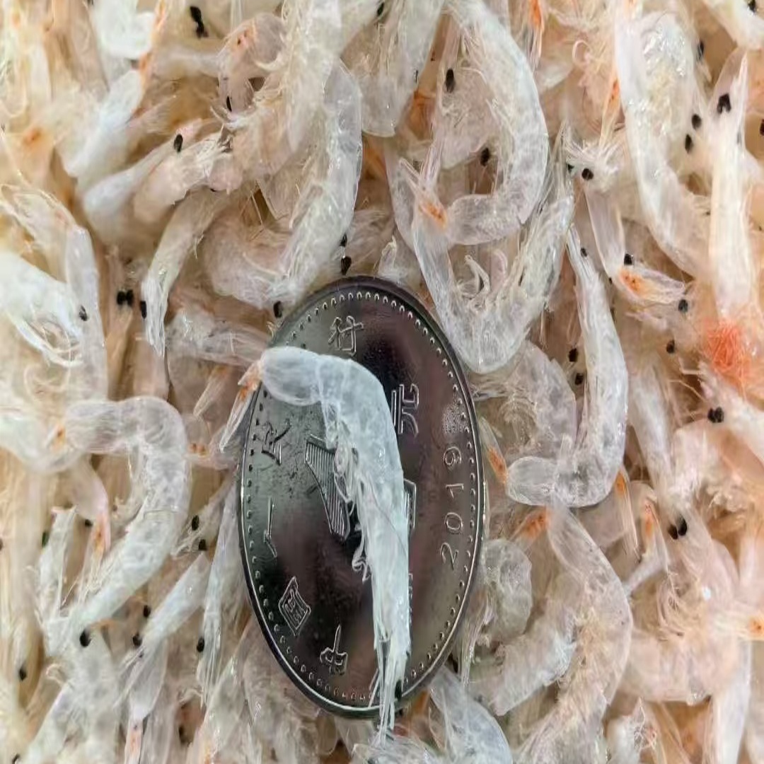 舟山野生虾皮淡干无盐0添加高钙高蛋白宝宝辅食/煲汤提鲜