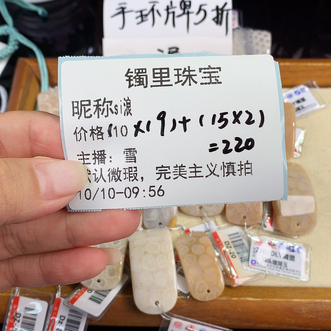 s***浪硅化珊瑚（珊瑚玉）未镶嵌吊坠(赠链)