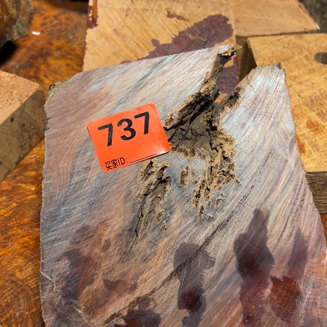 大果紫檀（缅甸花梨）