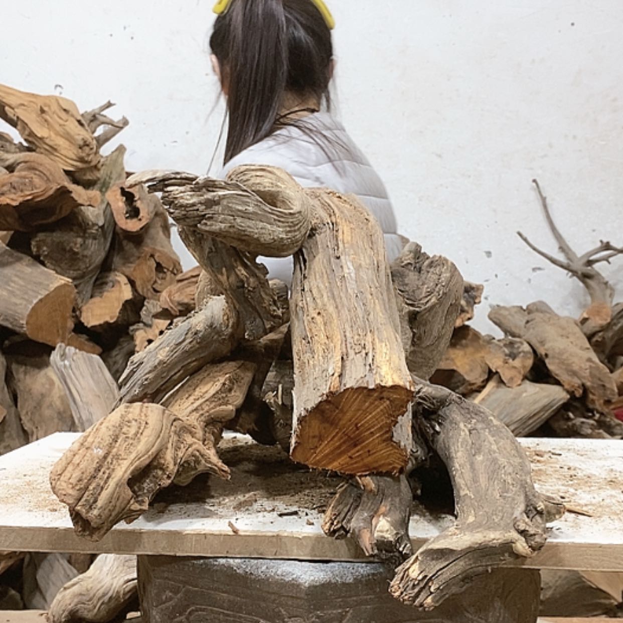 【闪购商品】柏木会****a我们都是好孩子