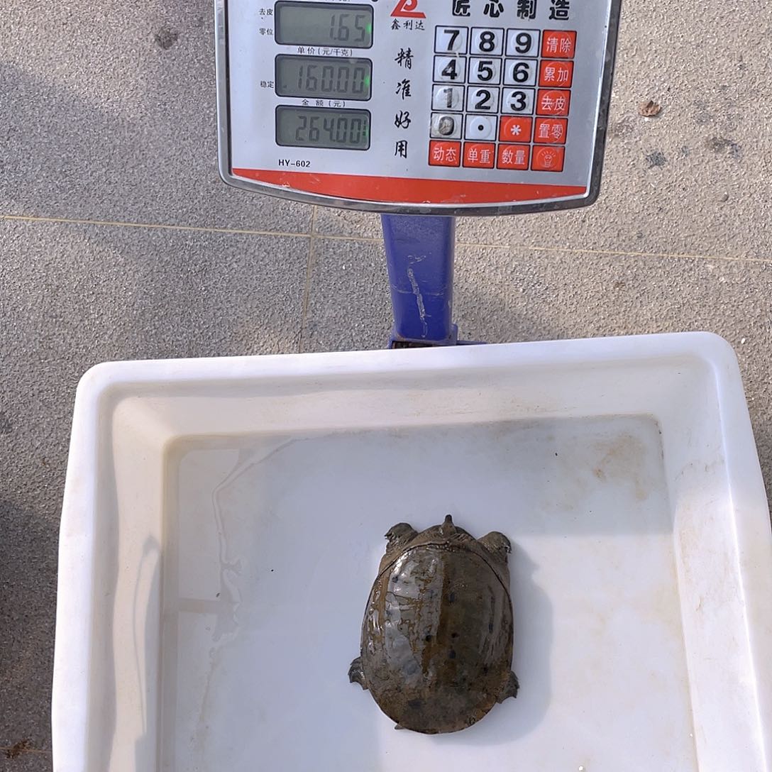 中国大陆576477466467457