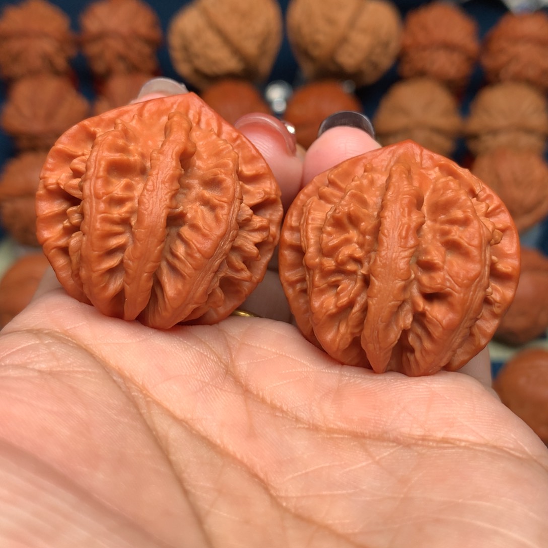 把件文玩核桃帝王龙脊