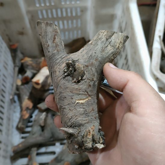 k***空大果紫檀（缅甸花梨）