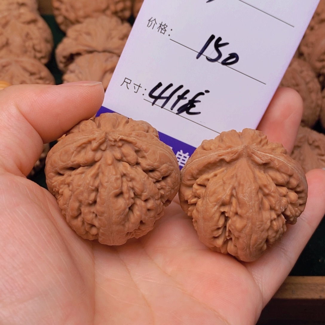 文玩核桃霸王龙核桃