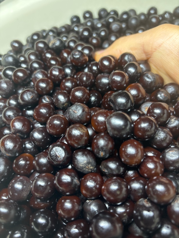 净欣散籽百年云南野生无患子散籽风化籽打孔备注