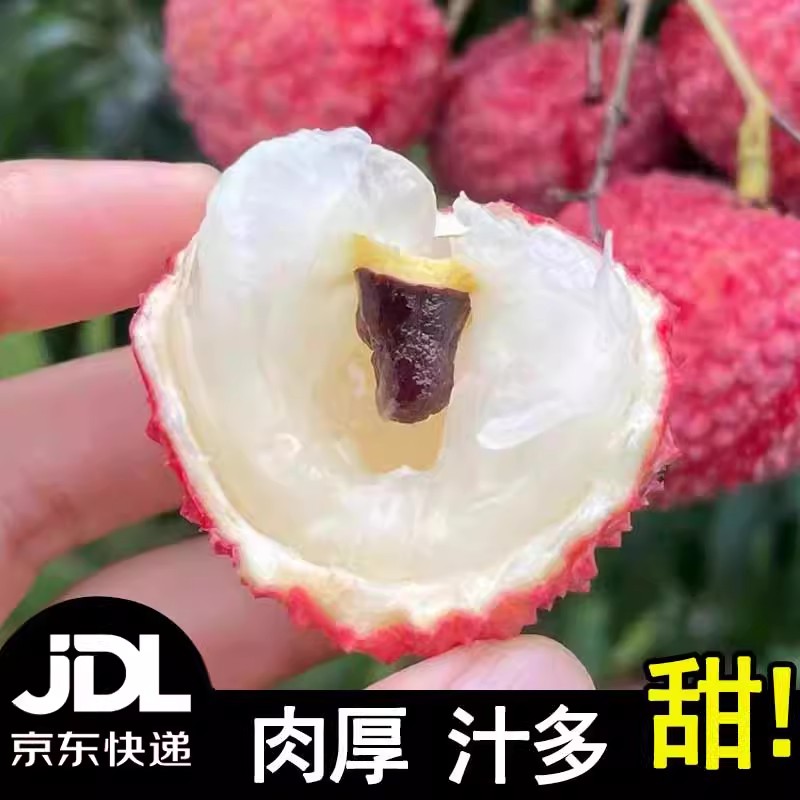 [京东冷链]正宗火山荔枝王当季新鲜蜜丁香老树大果小核果农现摘现