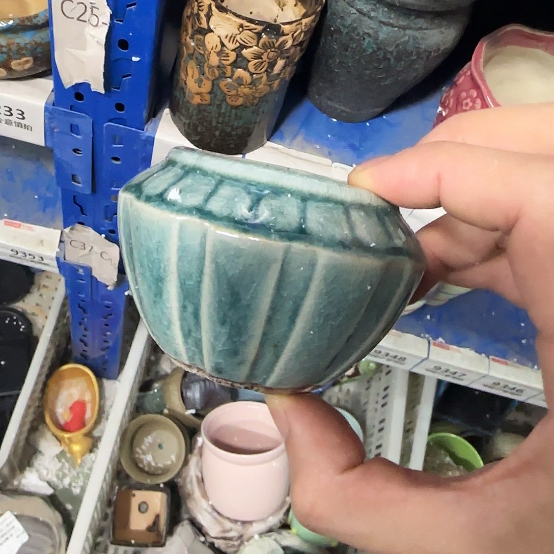 福利局绿植多肉盆［凑9元包邮24小时发］787