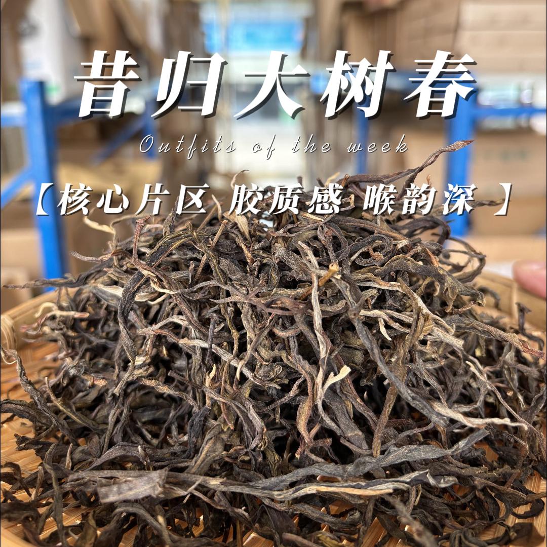 昔归普洱生茶 核心忙麓山正山大树春木质香菌香 21年散/饼可选