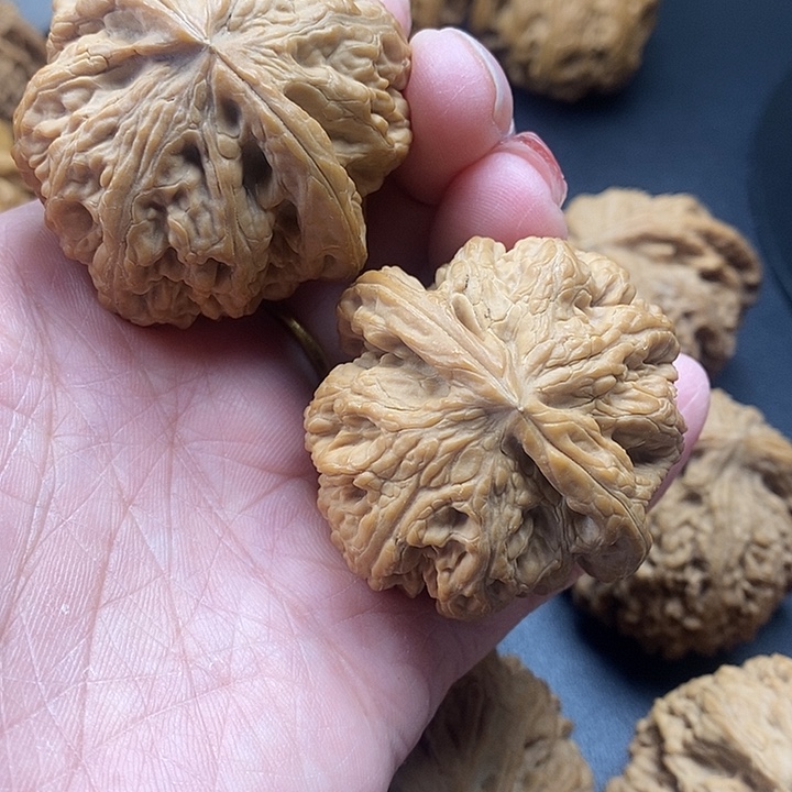吊坠龙脊菩提粗筋46加