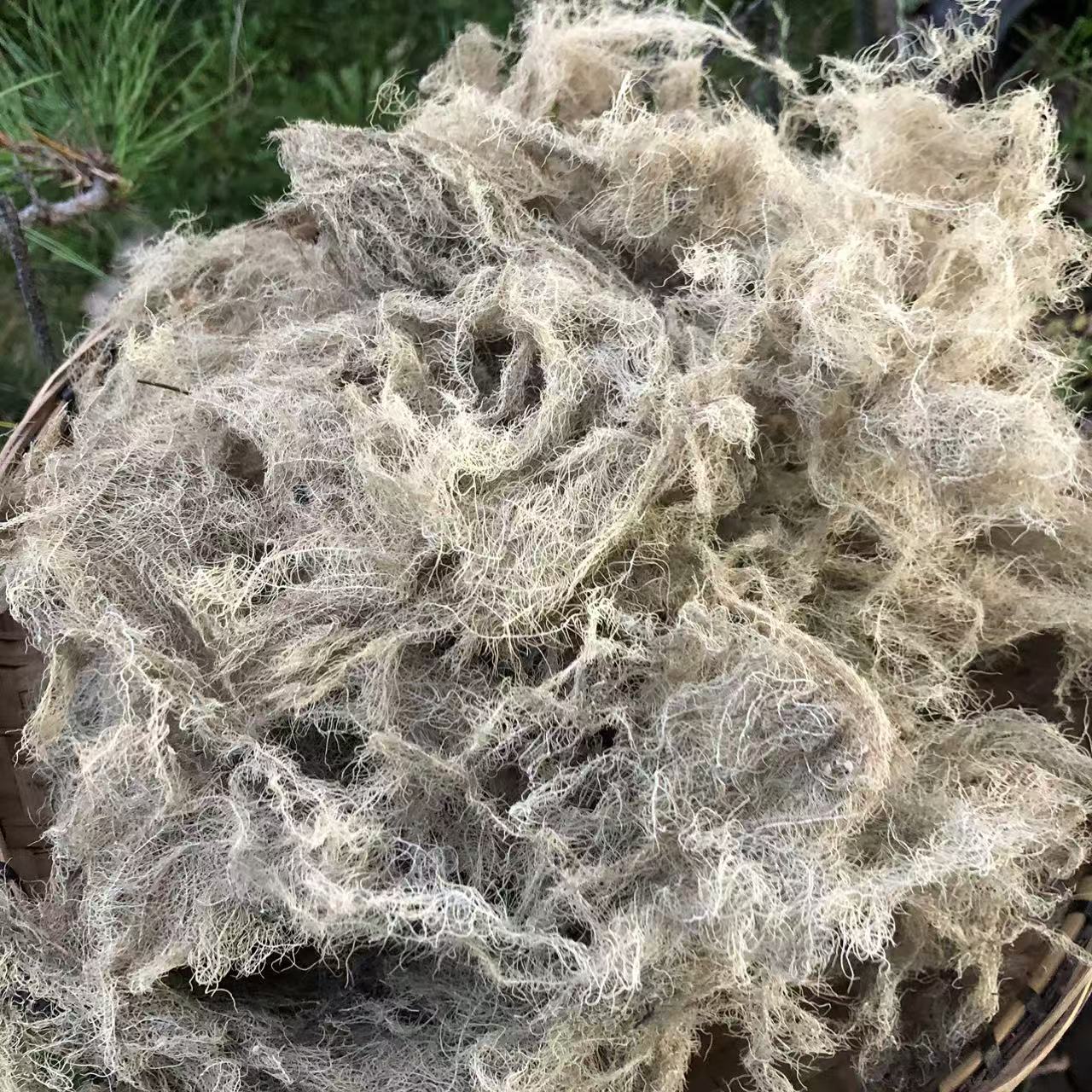 【阿依山货】（龙须参）护月干 搭配枸杞泡水1