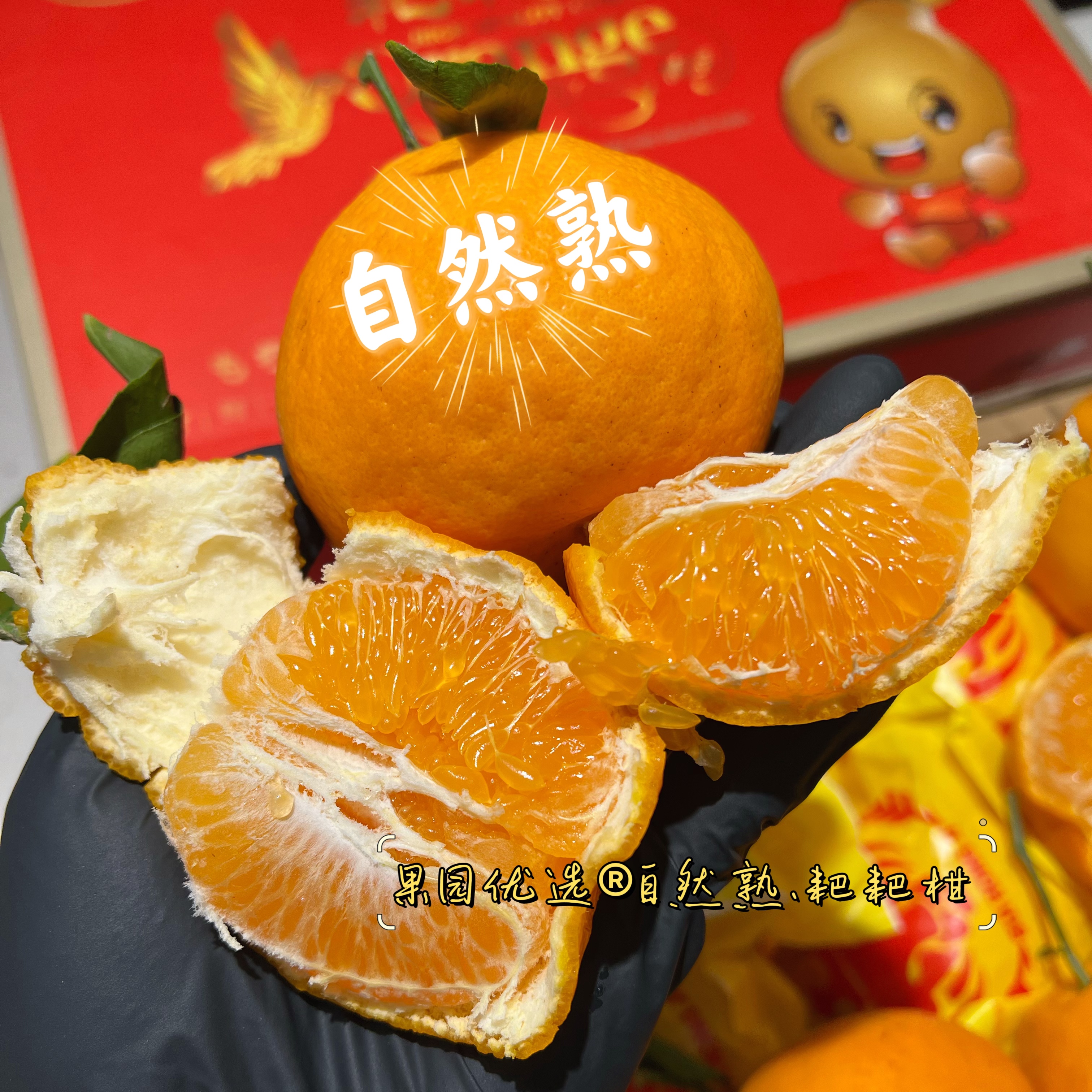 ｛自然熟｝春见耙耙柑（四川眉山）核心产区7斤礼盒装四川省