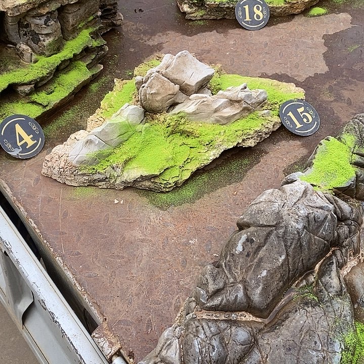 小***子忽略了自己喜欢的东西