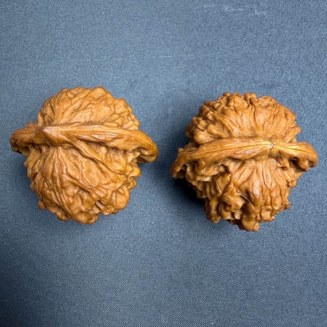 【沁韵精选】手把件HT核桃FZ012