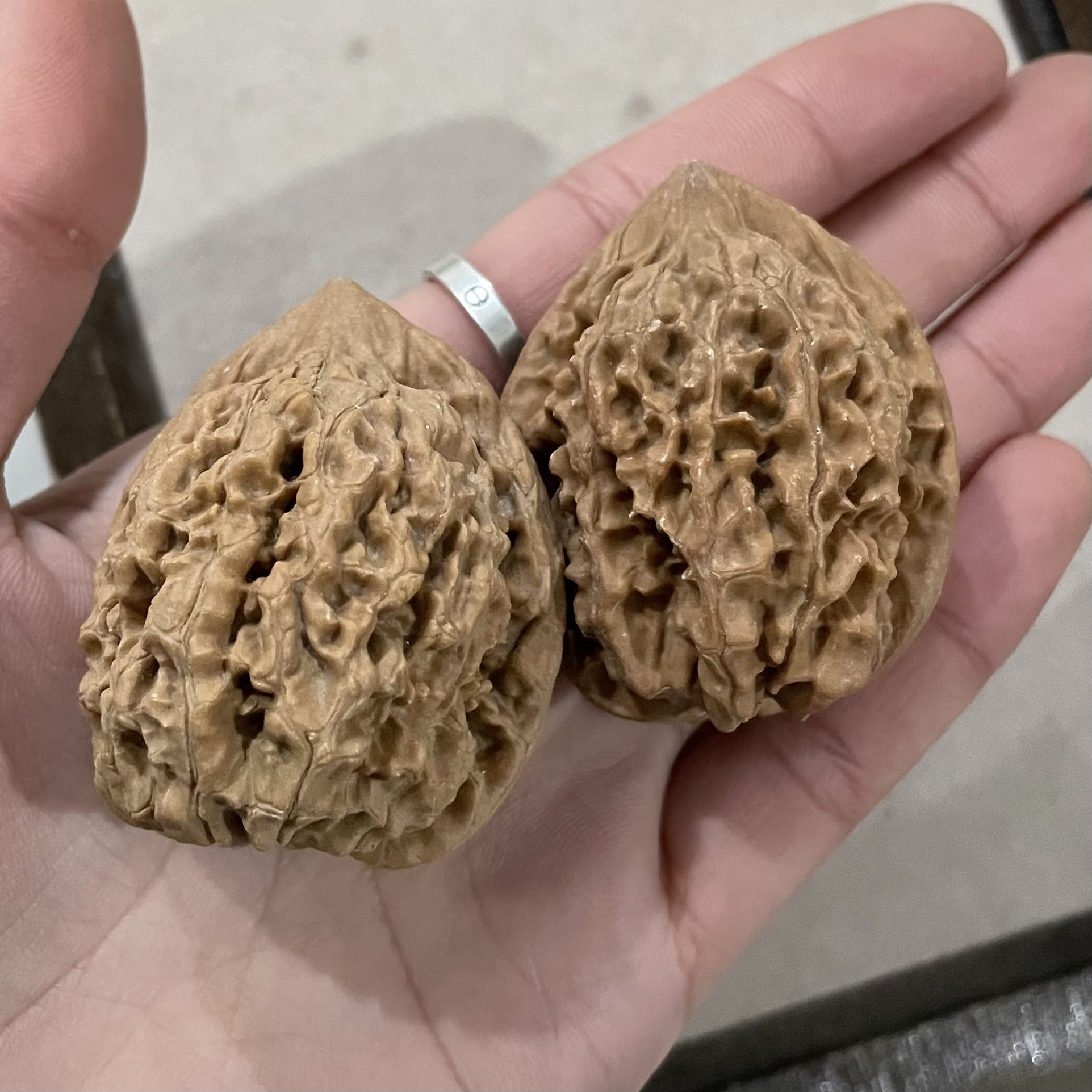 A1文玩核桃（尺寸多样）