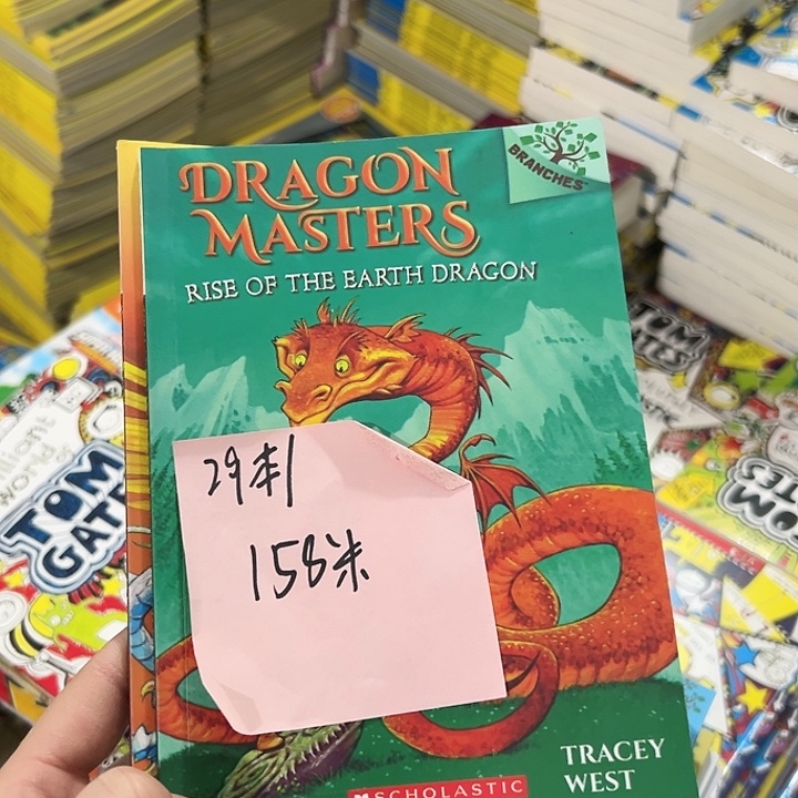 训龙大师 全套29本