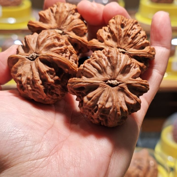 文玩核桃把件别****了白狮子